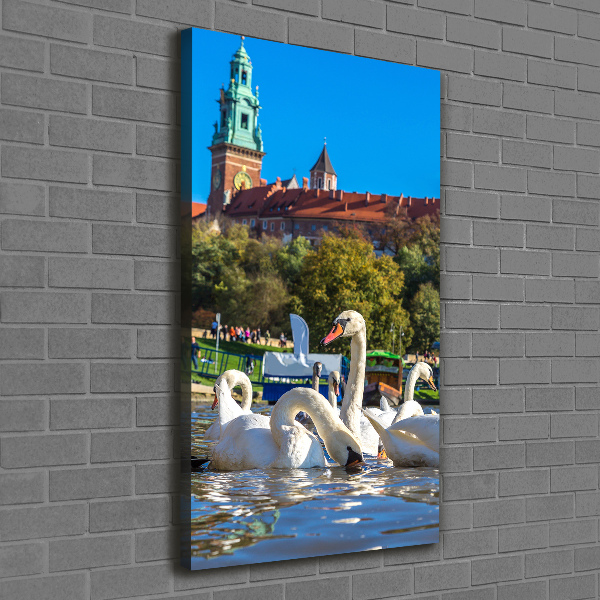 Picture canvas print Cracow Poland