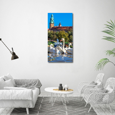 Picture canvas print Cracow Poland