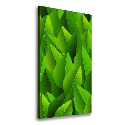 Wall art canvas large Green leaves