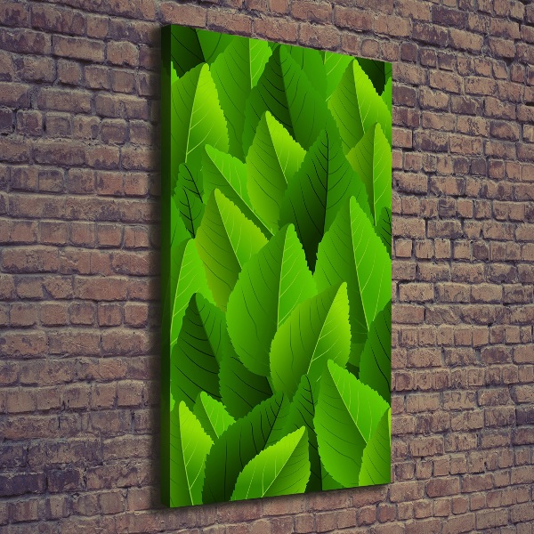 Wall art canvas large Green leaves