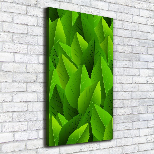 Wall art canvas large Green leaves