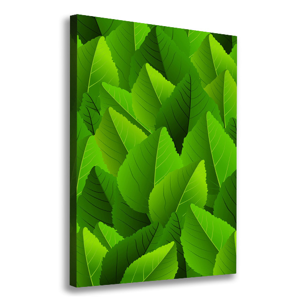 Wall art canvas large Green leaves