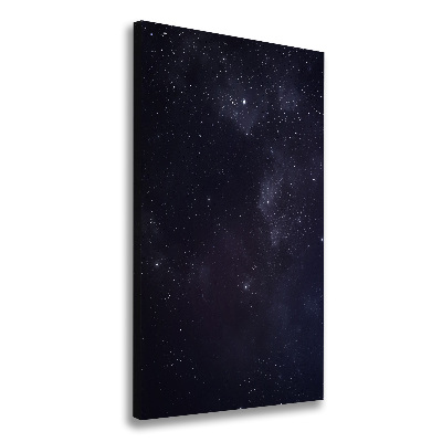 Canvas wall art Constellation