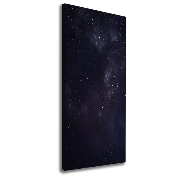 Canvas wall art Constellation