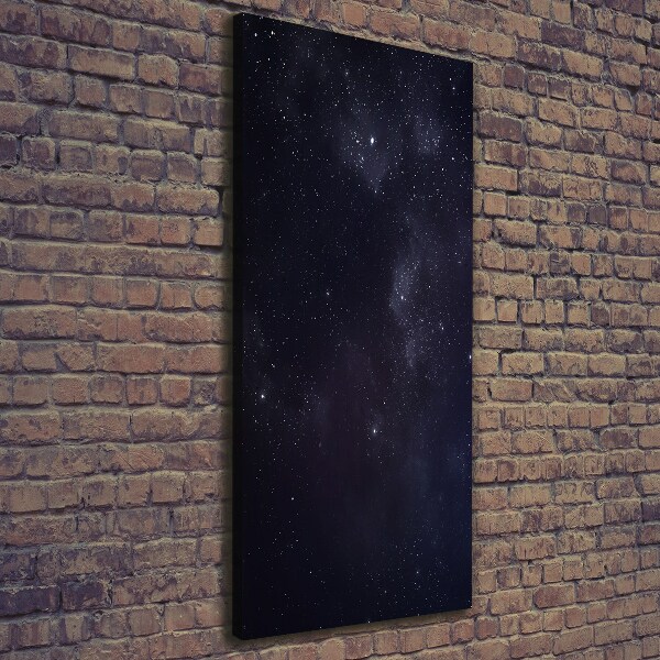 Canvas wall art Constellation