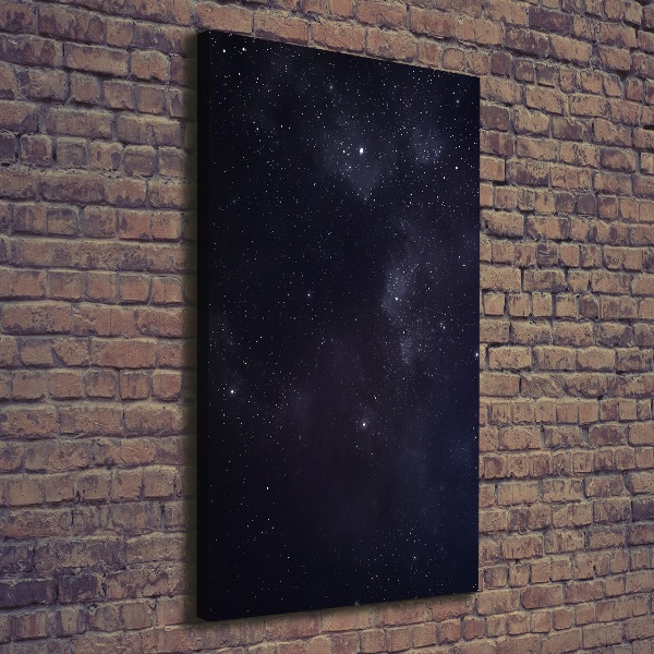 Canvas wall art Constellation