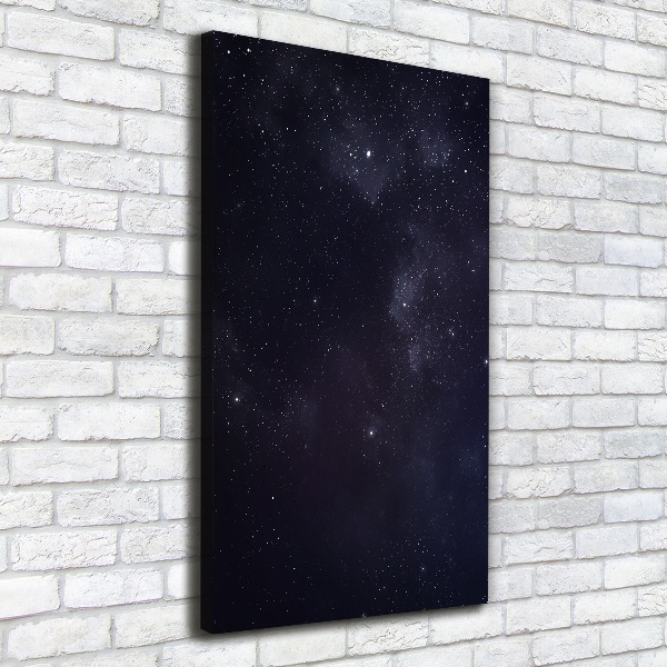 Canvas wall art Constellation