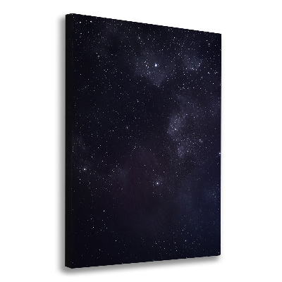 Canvas wall art Constellation