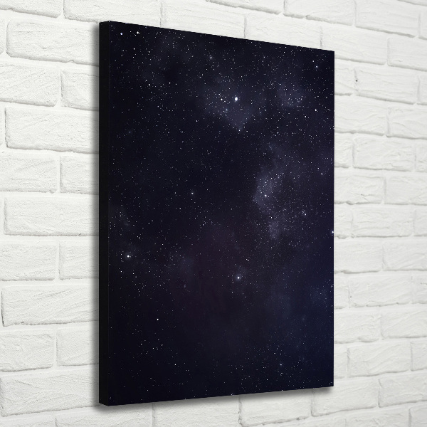 Canvas wall art Constellation