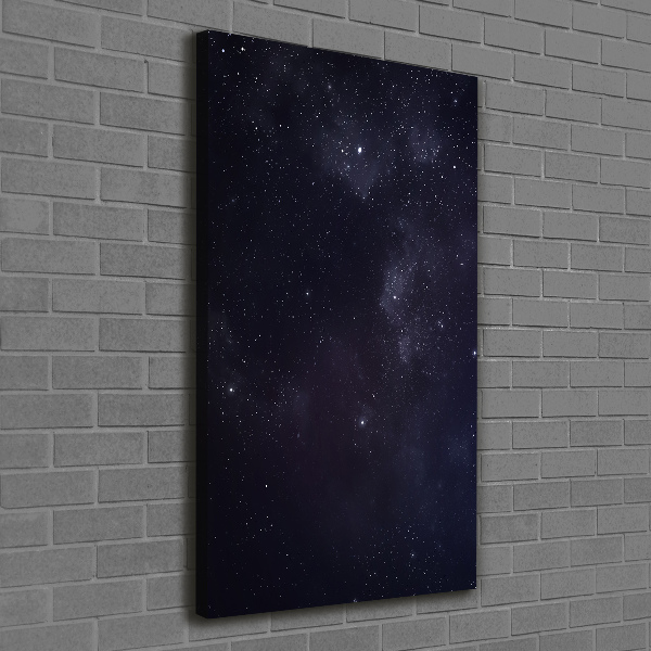 Canvas wall art Constellation