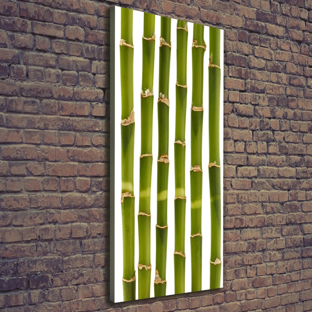 Wall art canvas large Bamboo