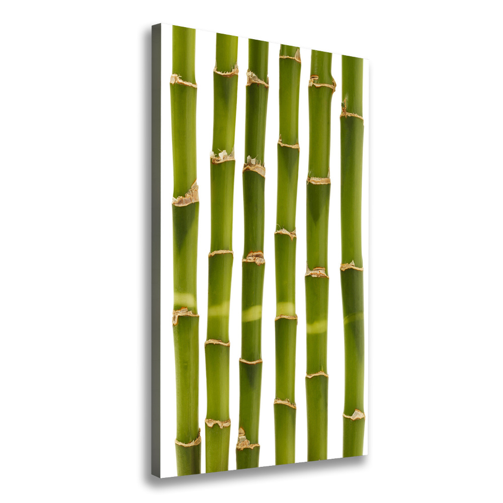 Wall art canvas large Bamboo