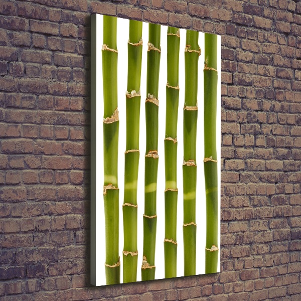 Wall art canvas large Bamboo