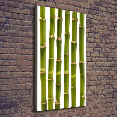 Wall art canvas large Bamboo