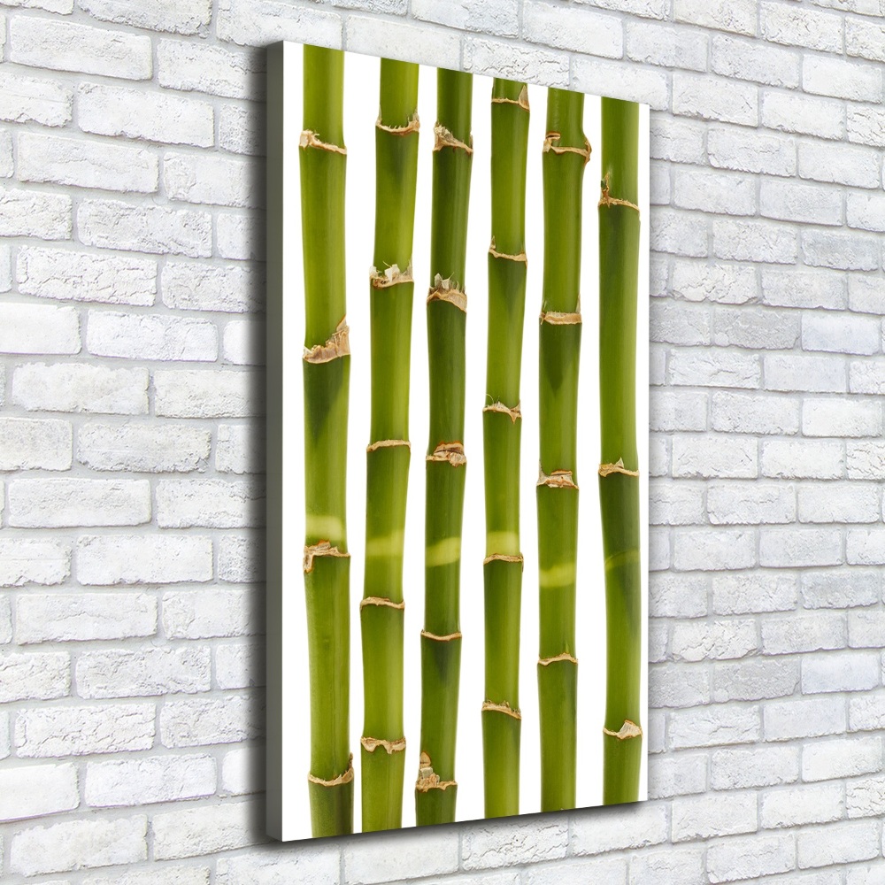 Wall art canvas large Bamboo