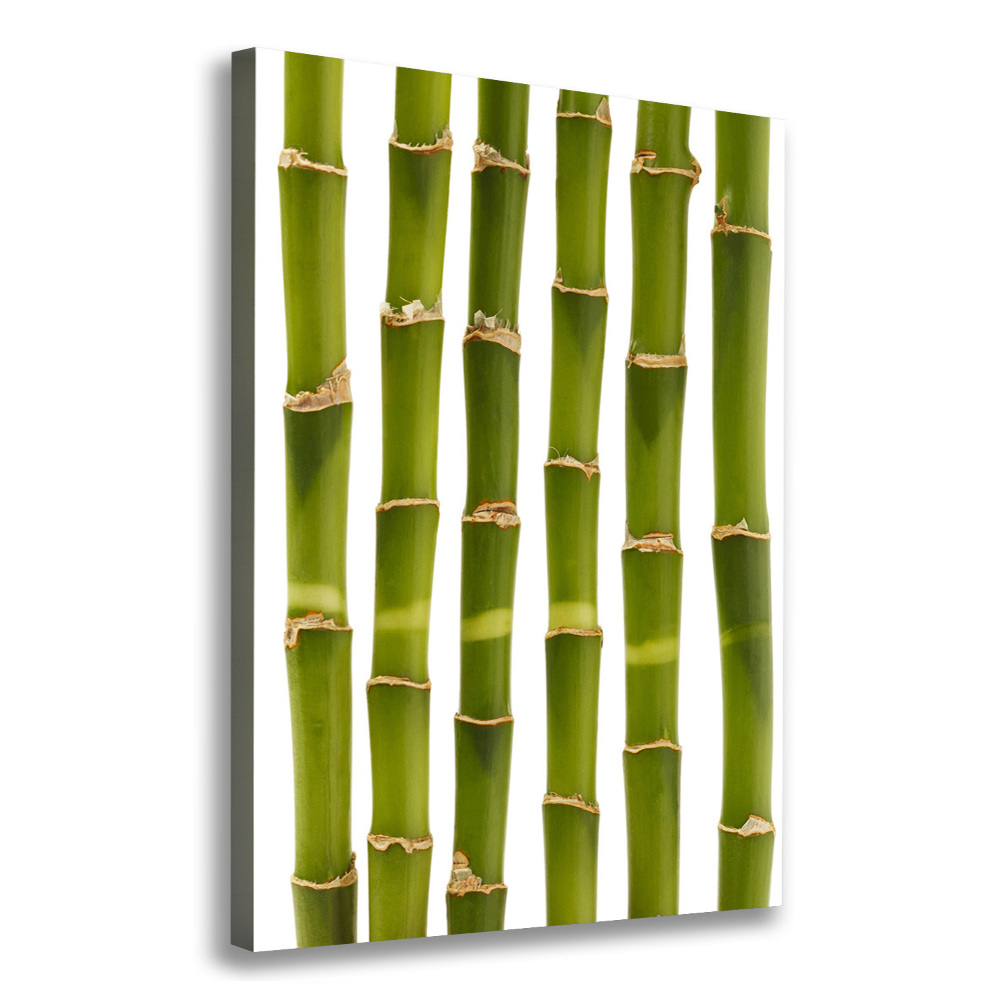 Wall art canvas large Bamboo