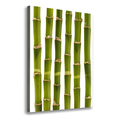 Wall art canvas large Bamboo