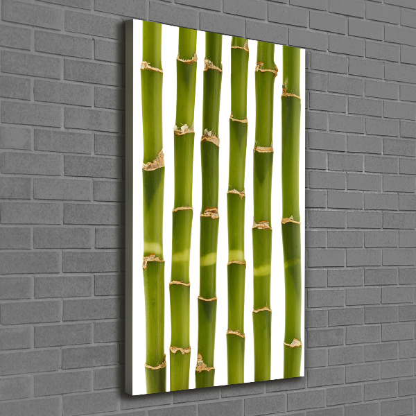 Wall art canvas large Bamboo