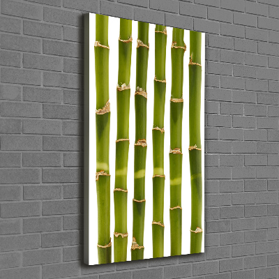 Wall art canvas large Bamboo