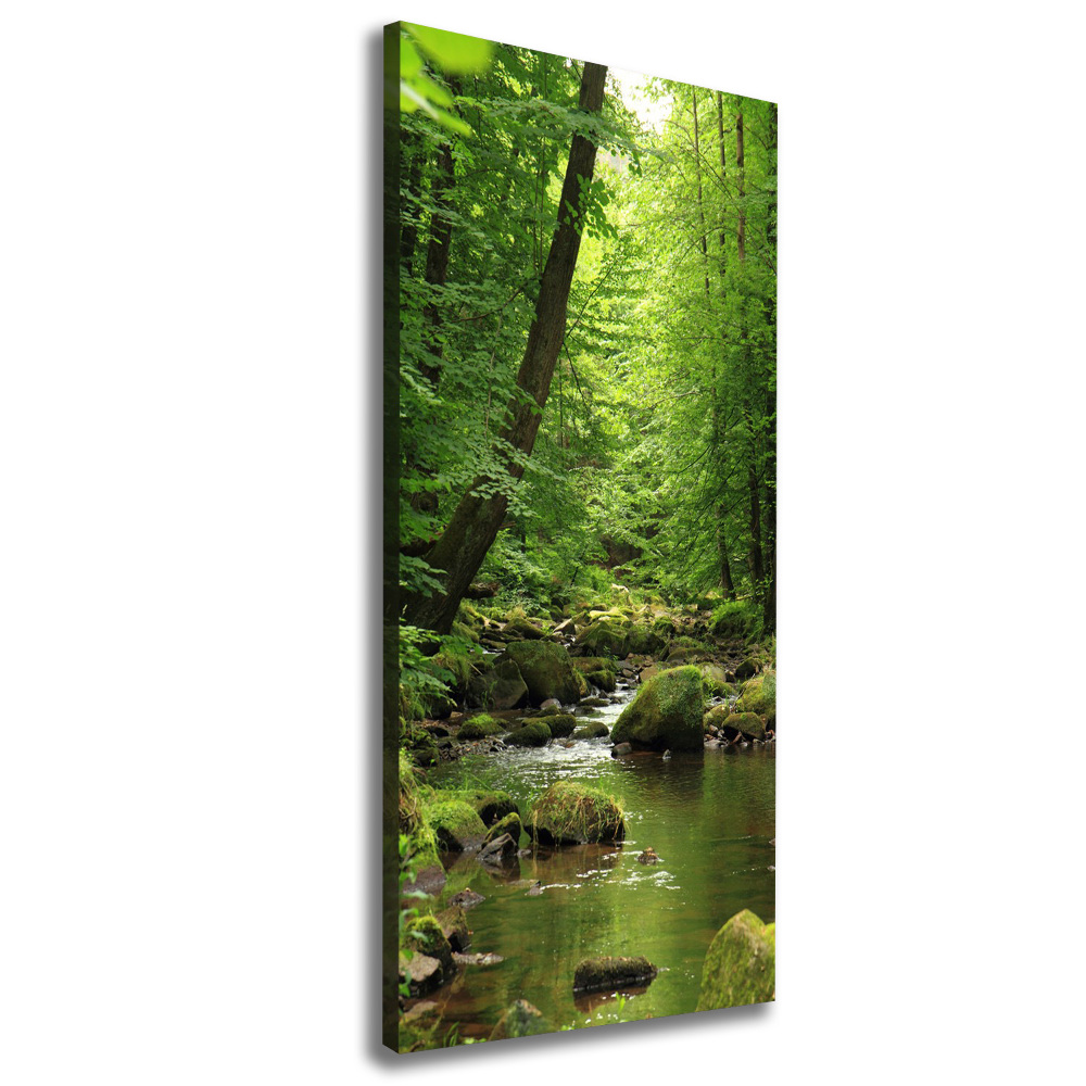 Canvas print River in the forest