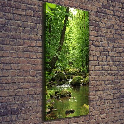 Canvas print River in the forest