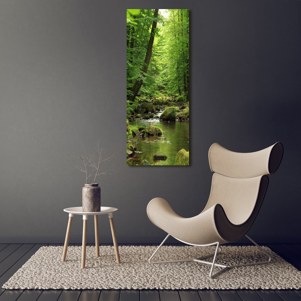 Canvas print River in the forest