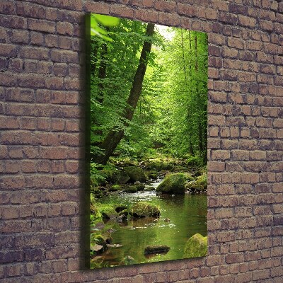 Canvas print River in the forest