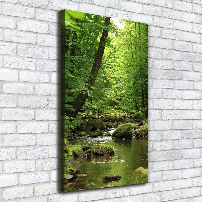 Canvas print River in the forest