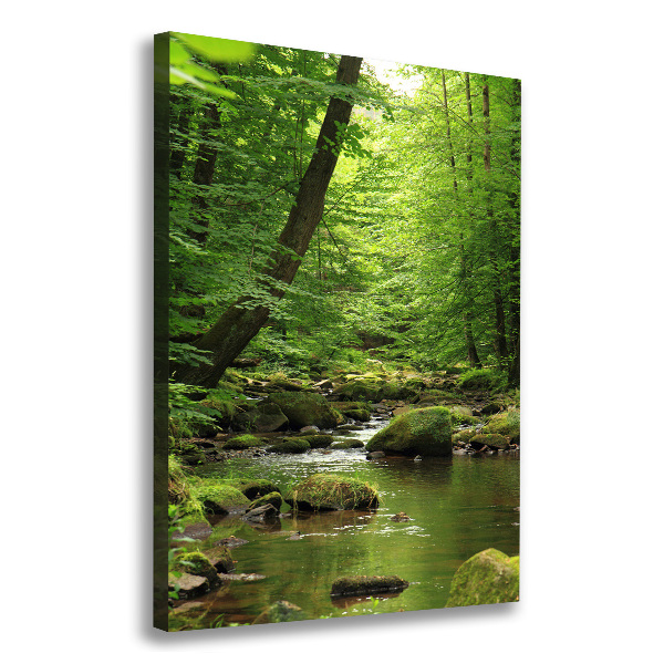 Canvas print River in the forest