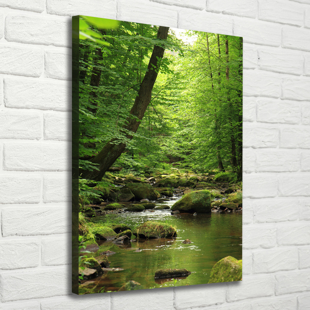 Canvas print River in the forest