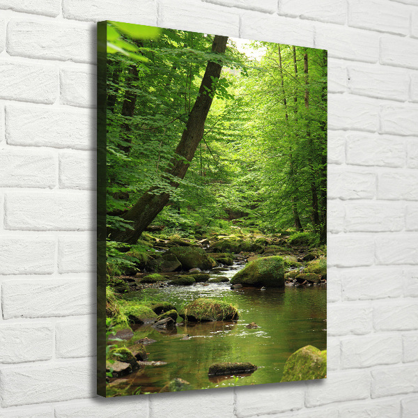 Canvas print River in the forest