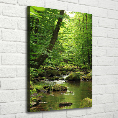 Canvas print River in the forest