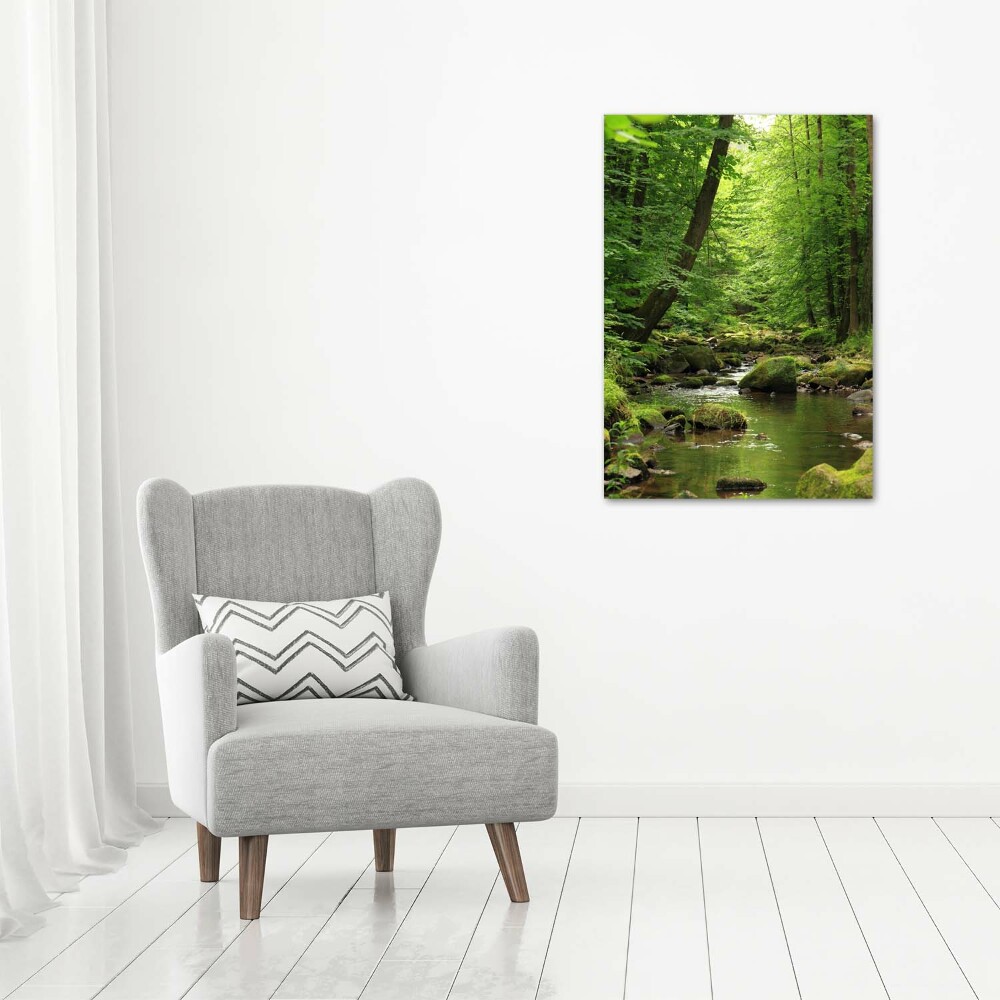 Canvas print River in the forest