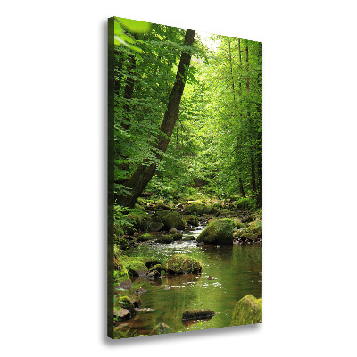 Canvas print River in the forest