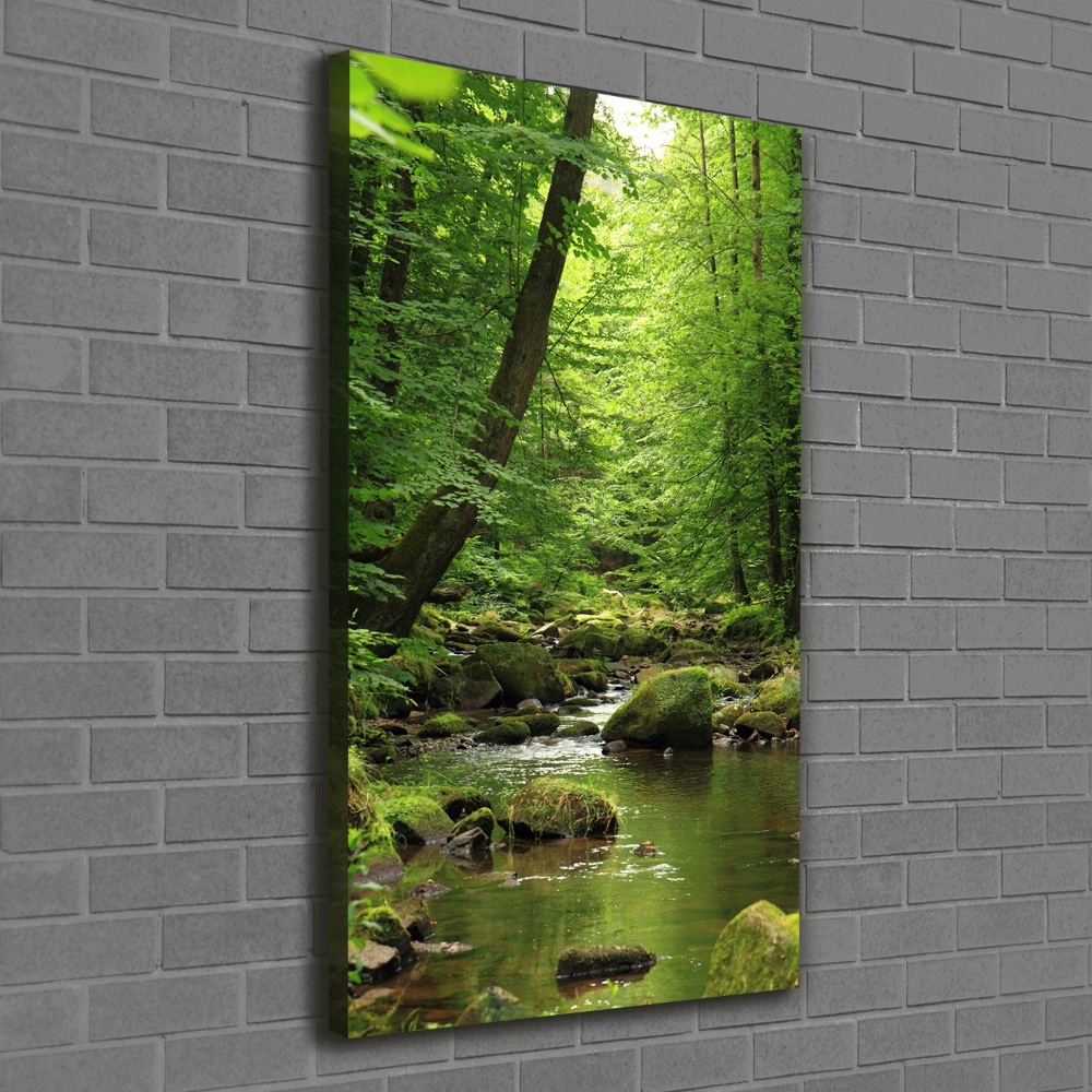 Canvas print River in the forest