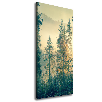 Wall art canvas large Fog over the forest