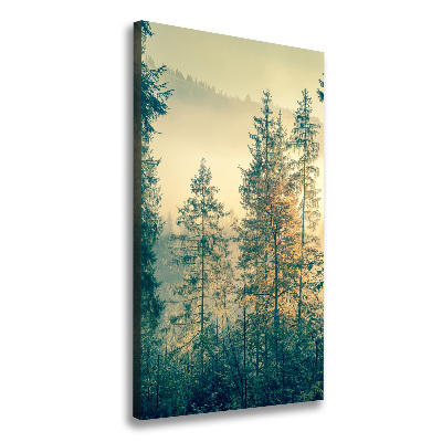 Wall art canvas large Fog over the forest