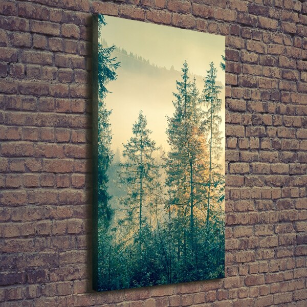 Wall art canvas large Fog over the forest