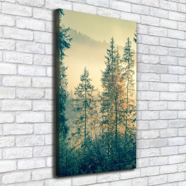 Wall art canvas large Fog over the forest