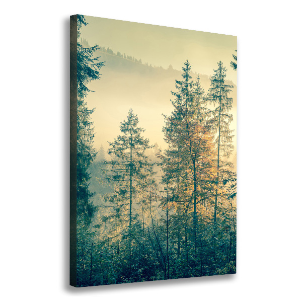 Wall art canvas large Fog over the forest