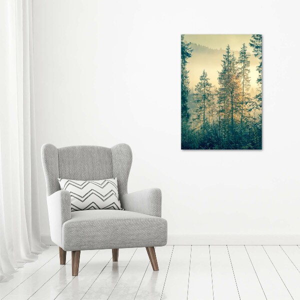 Wall art canvas large Fog over the forest