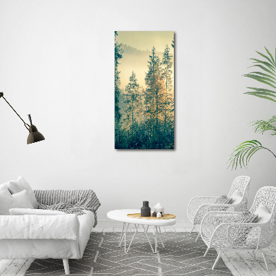 Wall art canvas large Fog over the forest