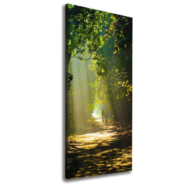 Canvas print Path in the forest