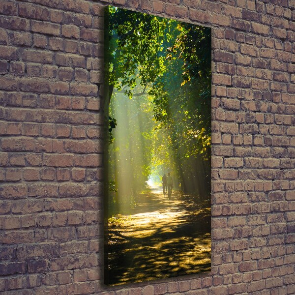 Canvas print Path in the forest