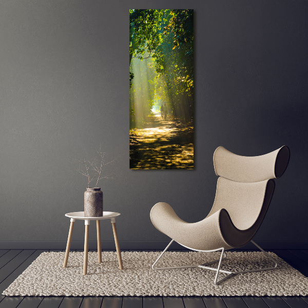 Canvas print Path in the forest