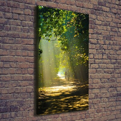 Canvas print Path in the forest