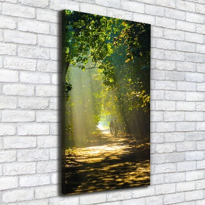 Canvas print Path in the forest