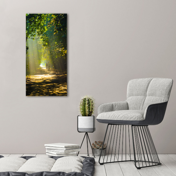 Canvas print Path in the forest