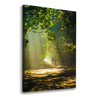 Canvas print Path in the forest