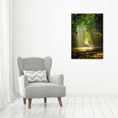 Canvas print Path in the forest